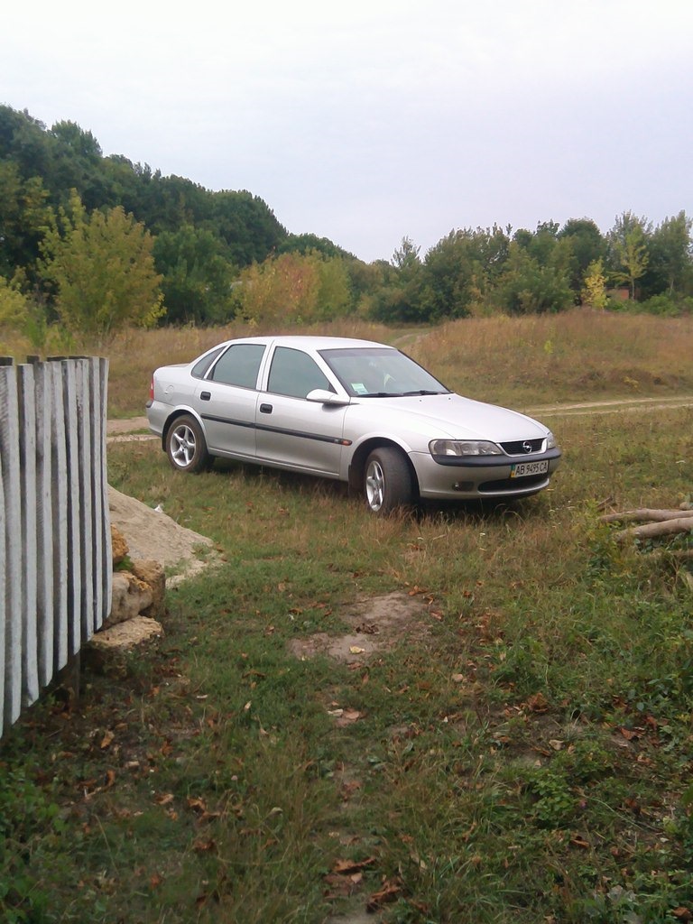 Літо 2015 5