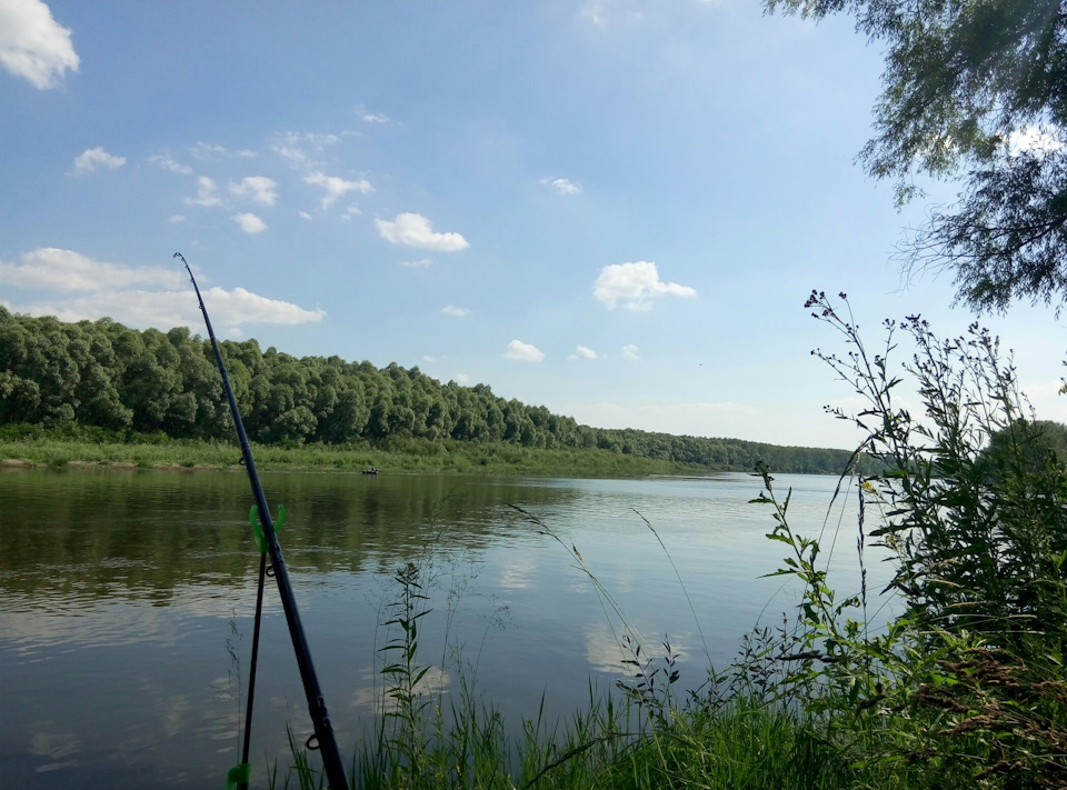 Відпочинок на природі 3
