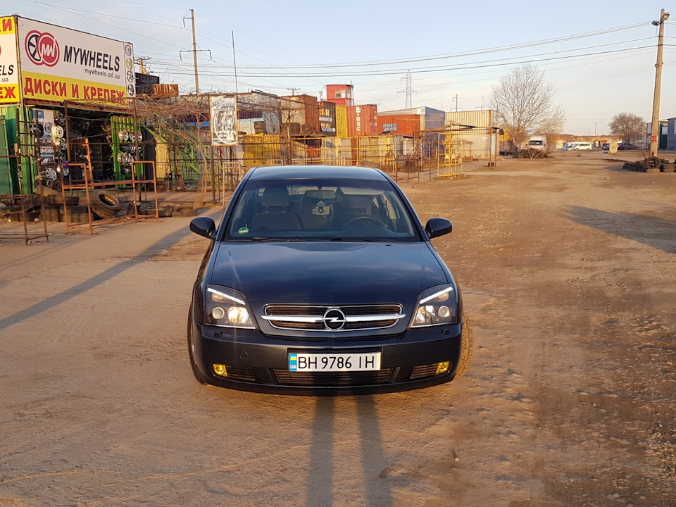 Пара свіжих фото 3
