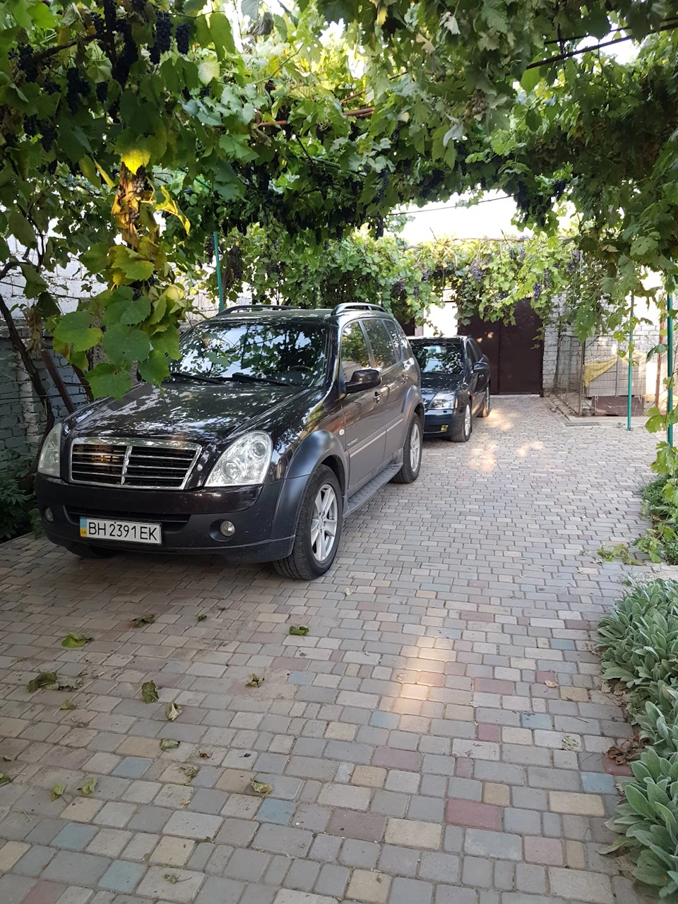 Залакував брату фари на REXTON