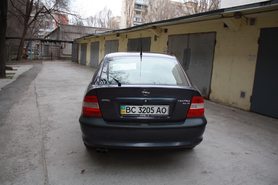 Ну ось влаштував фотосесію своєму птаху на ім'я ОРЕЛ)))) 4