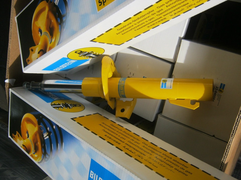 Позбувся стукоту амортизаторів Bilstein B6 1