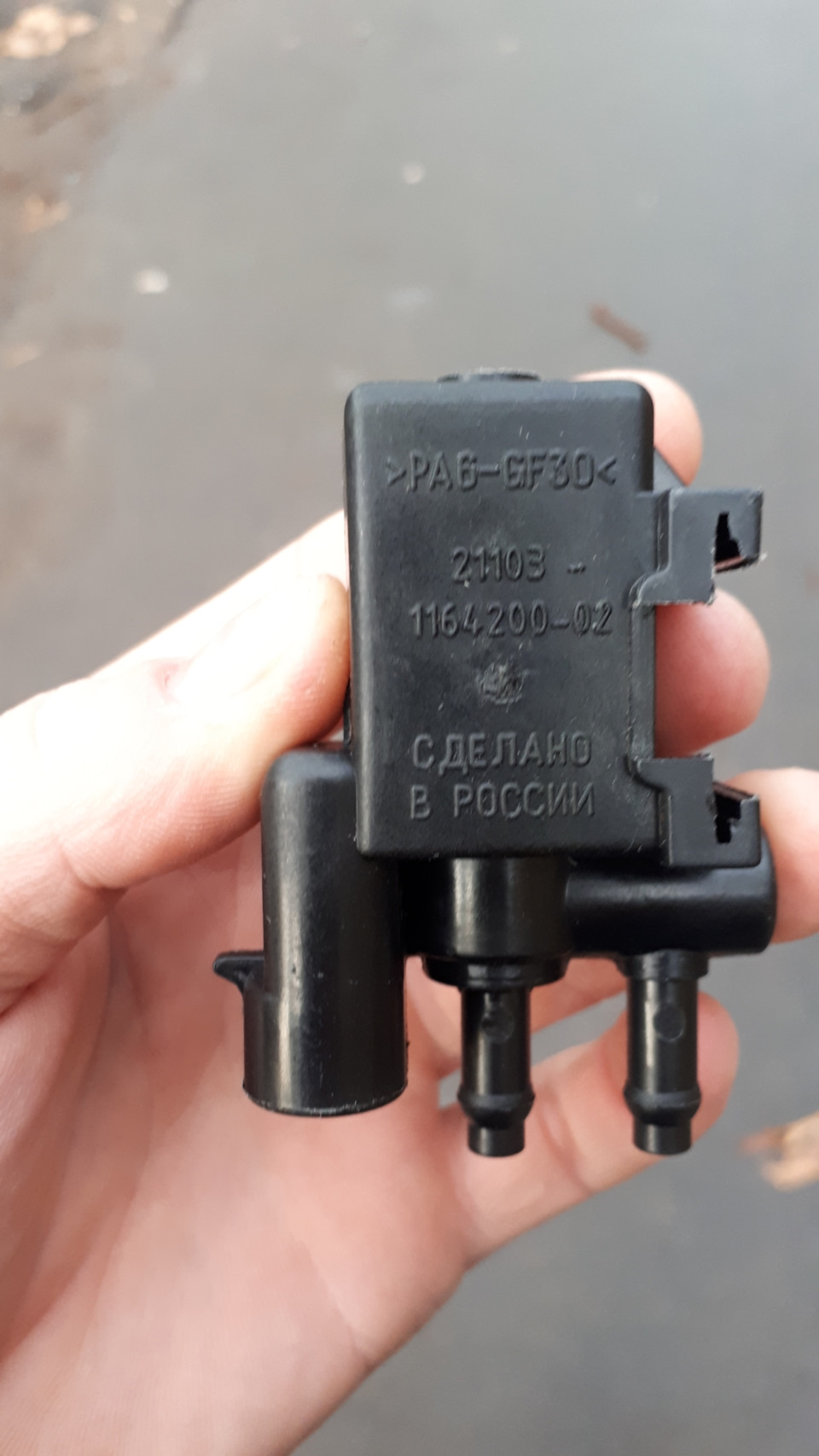 Задня ходова 3