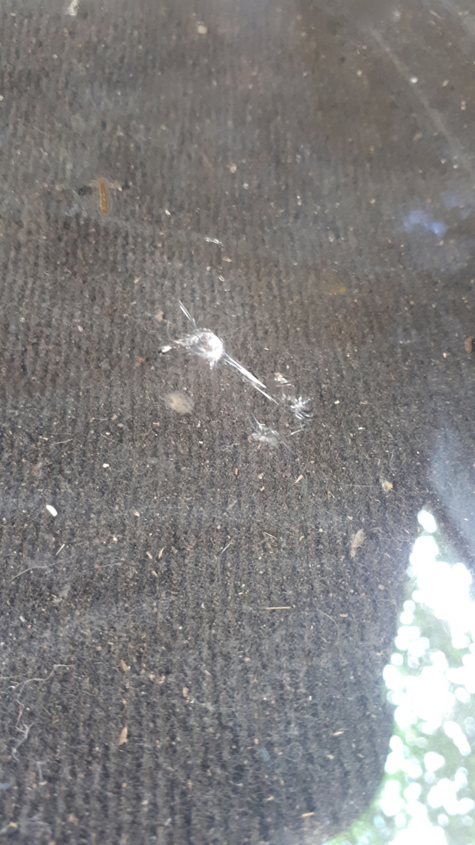 Заміна лобового скла Splintex Laminated C 2