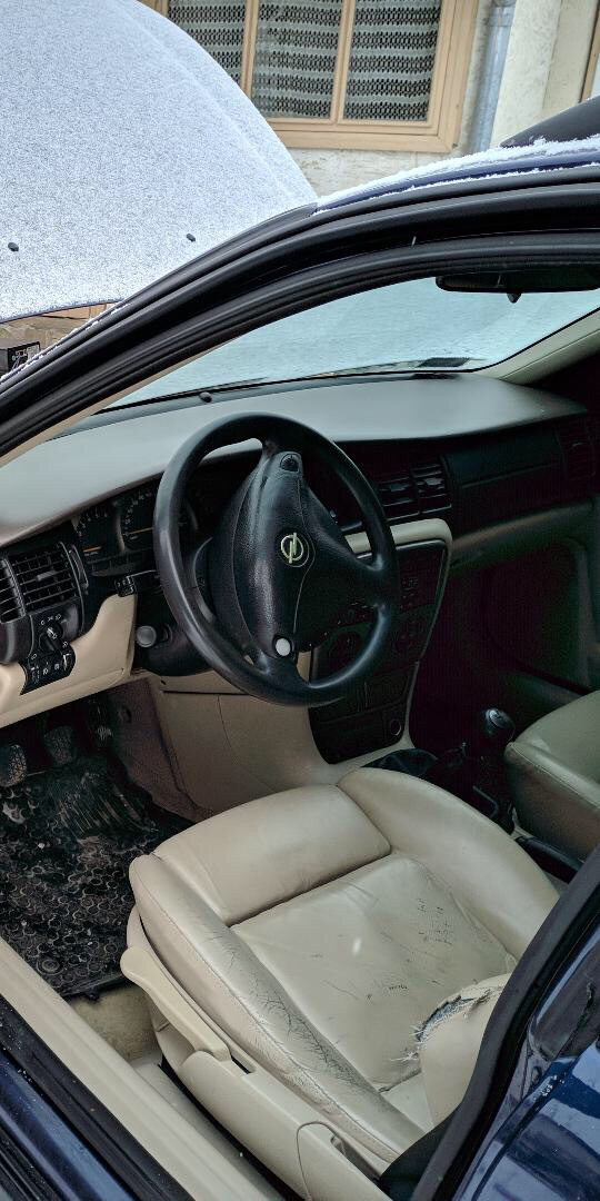 Біла шкіра Recaro 2