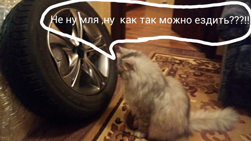 Сніг зійшов, і з ним асфальт((( 5