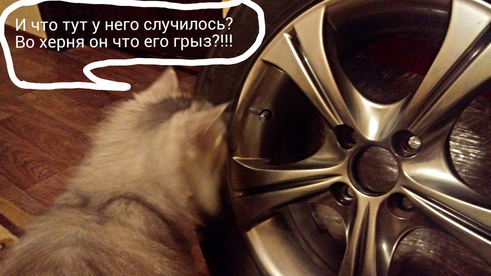 Сніг зійшов, і з ним асфальт((( 4