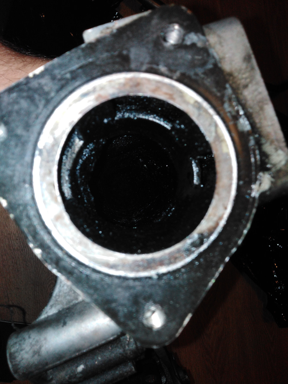 Ніштячки 2