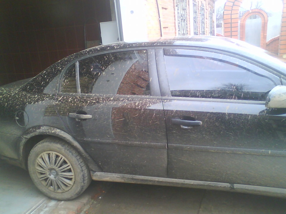 поїздка в ліс чисті ставки 2