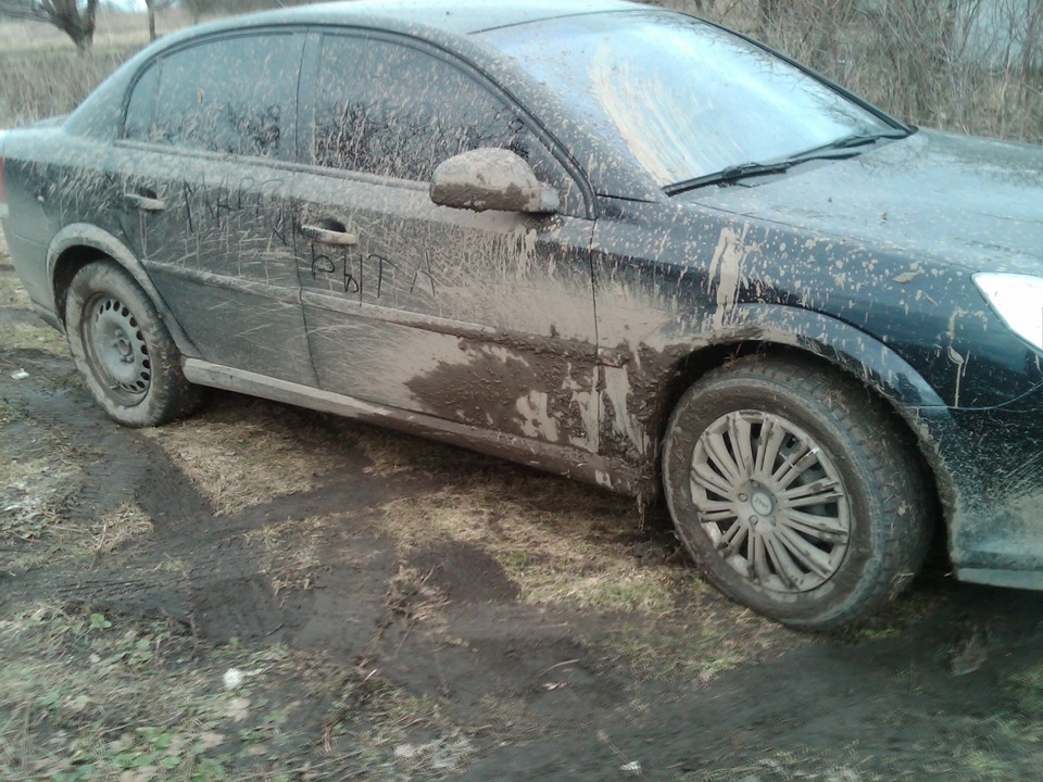 У Ліс за пролісками 5