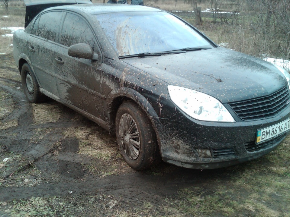 У Ліс за пролісками 2
