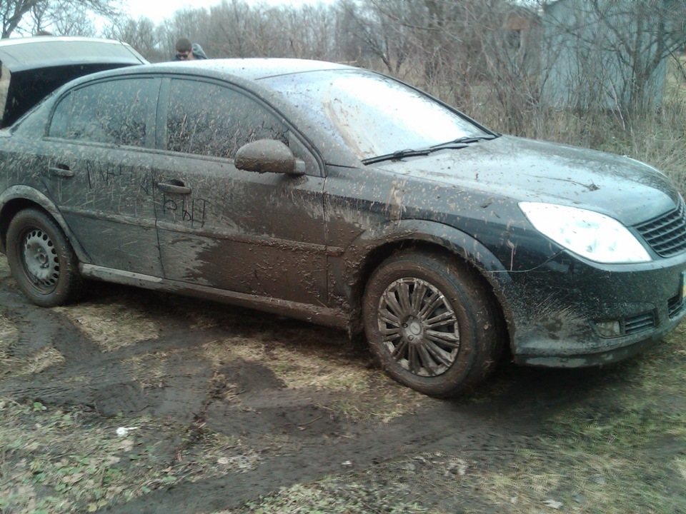 У Ліс за пролісками 3
