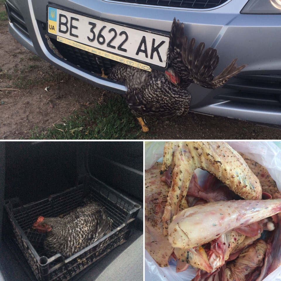 МАЛЕНЬКА НЕПРИЯТНІСТЬ 3