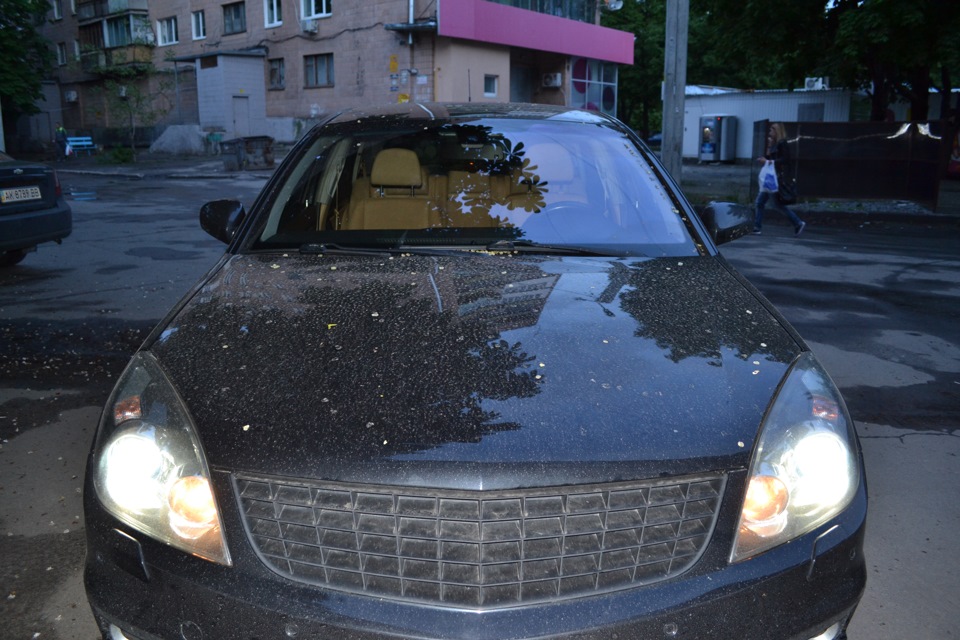 Кілька фотографій 2