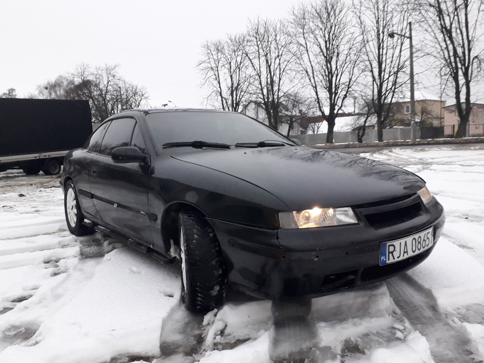 Хай живуть Євробляхи! 5