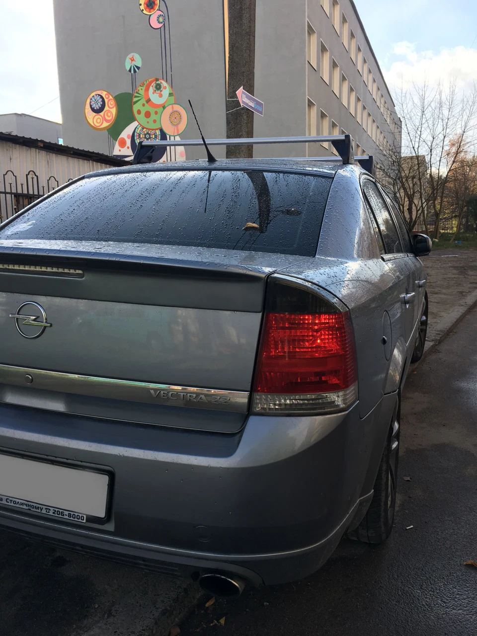 # Багажник на даху Thule. Кіт суїцидник.