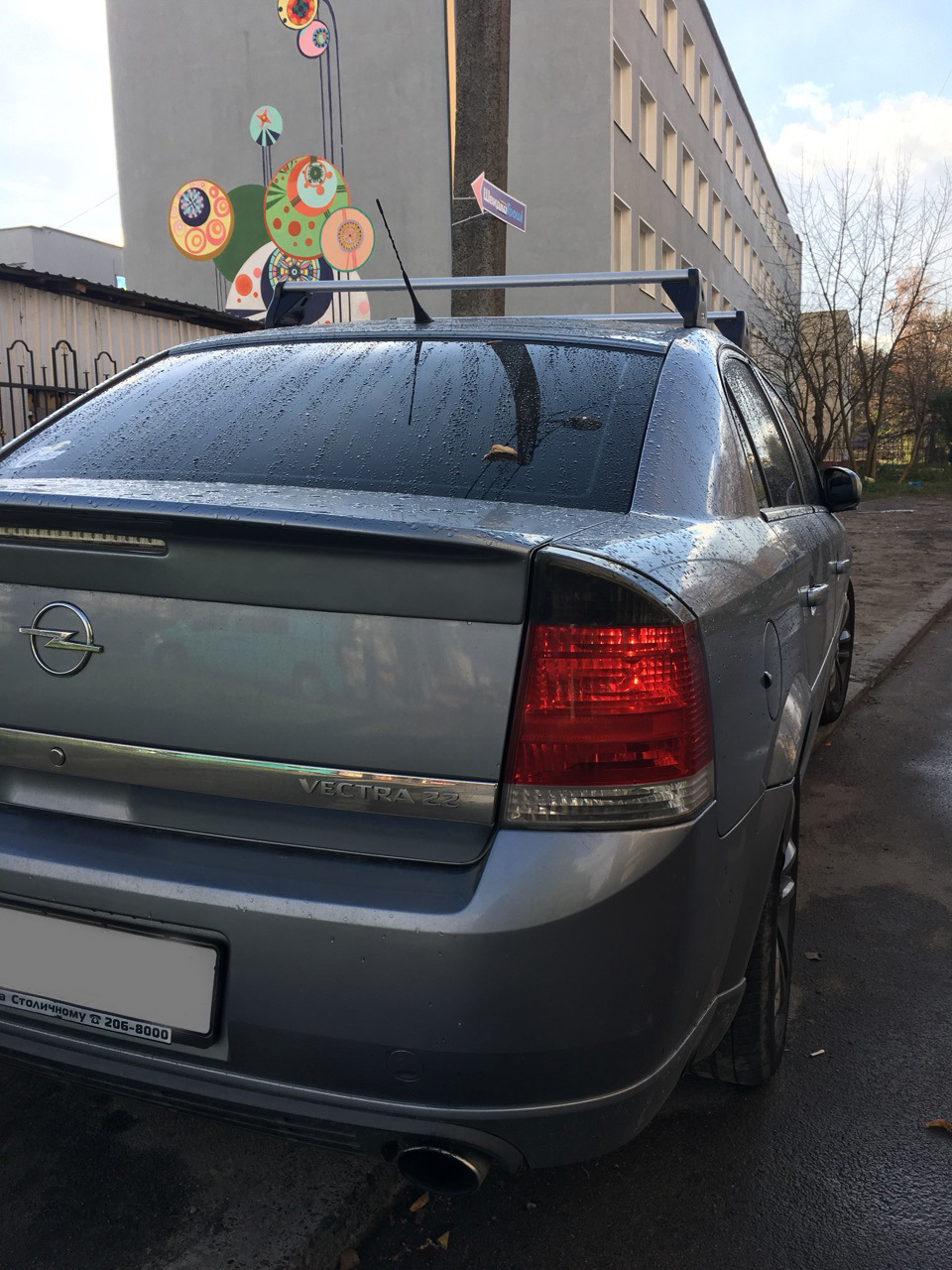 # Багажник на даху Thule. Кіт суїцидник. 1