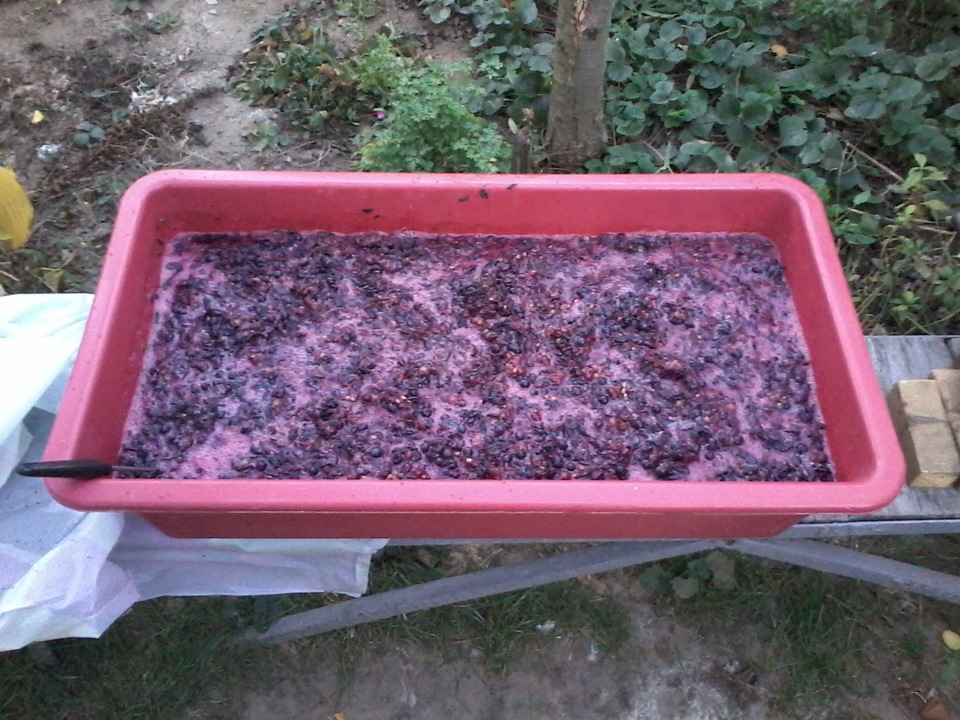 Маленьке хоббі. 2