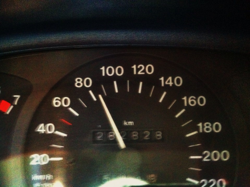 282828 1