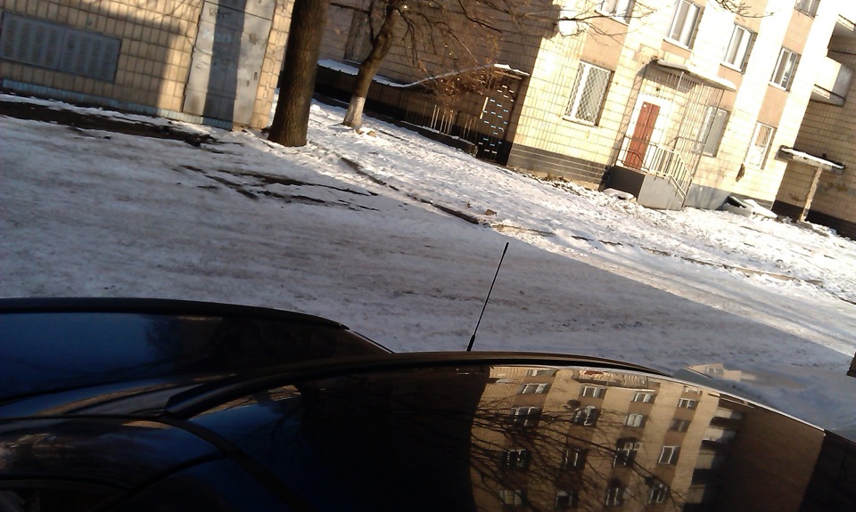 Лип на дах!) 5
