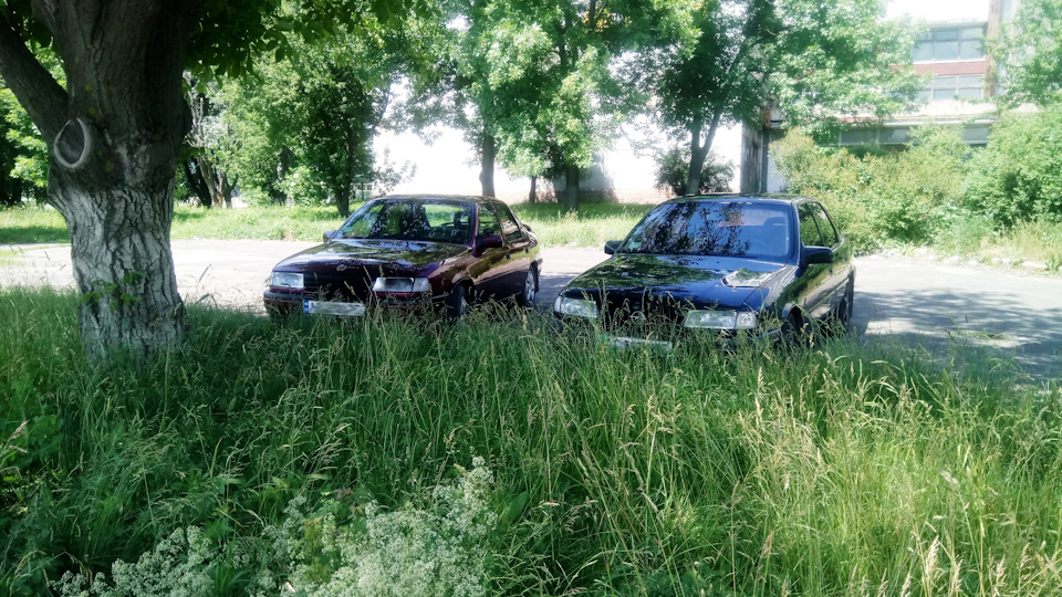 Поповнення в сім'ї 2