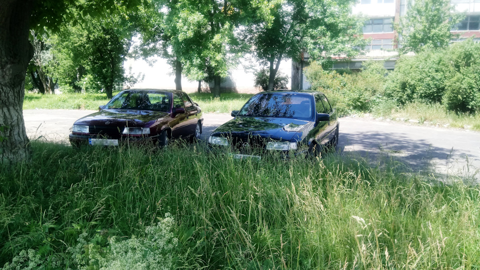 Поповнення в сім'ї 1