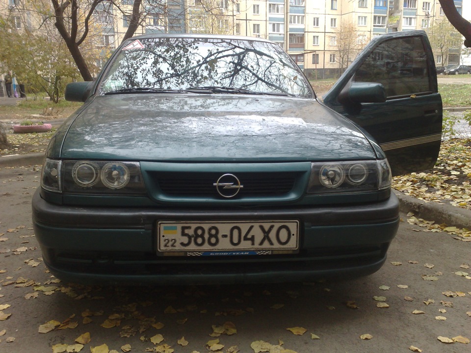 з життя земноводних 2