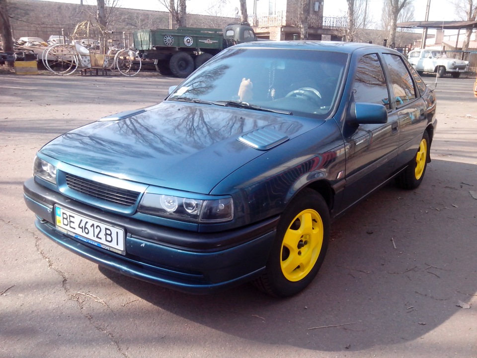 нові тапки на жабці 3