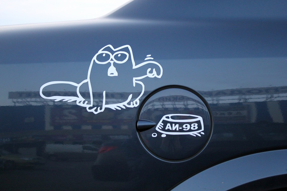 Simon's Cat 2