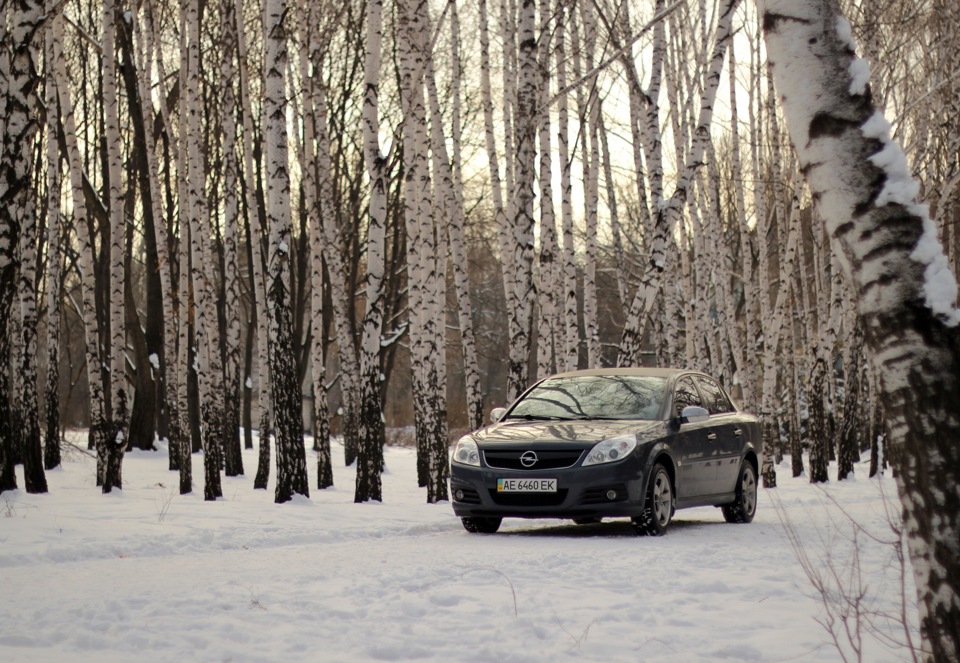 Snow-snow* 2