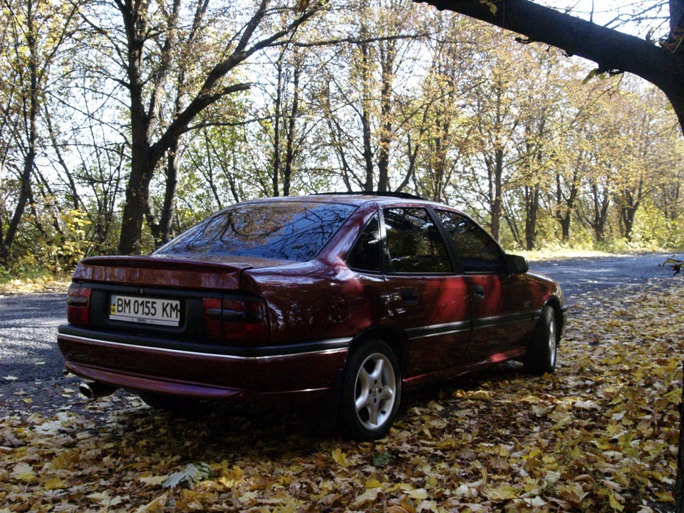 Кілька нових фото 5