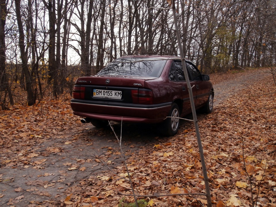 Осінній фотосет :) 5