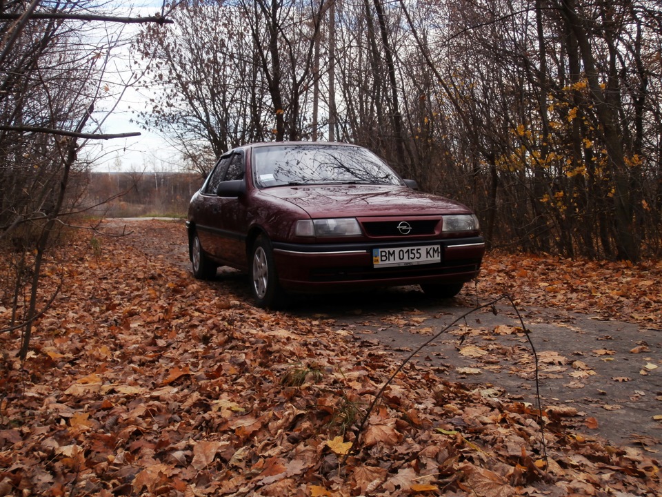 Осінній фотосет :) 4