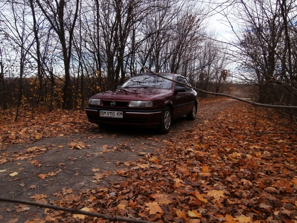 Осінній фотосет :)