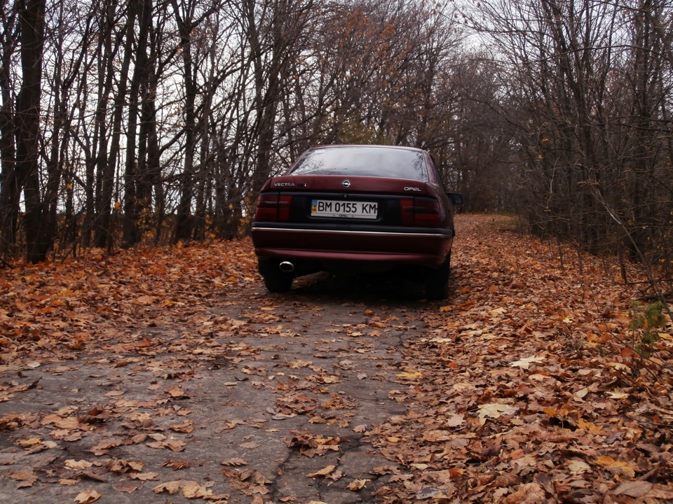 Осінній фотосет :) 2