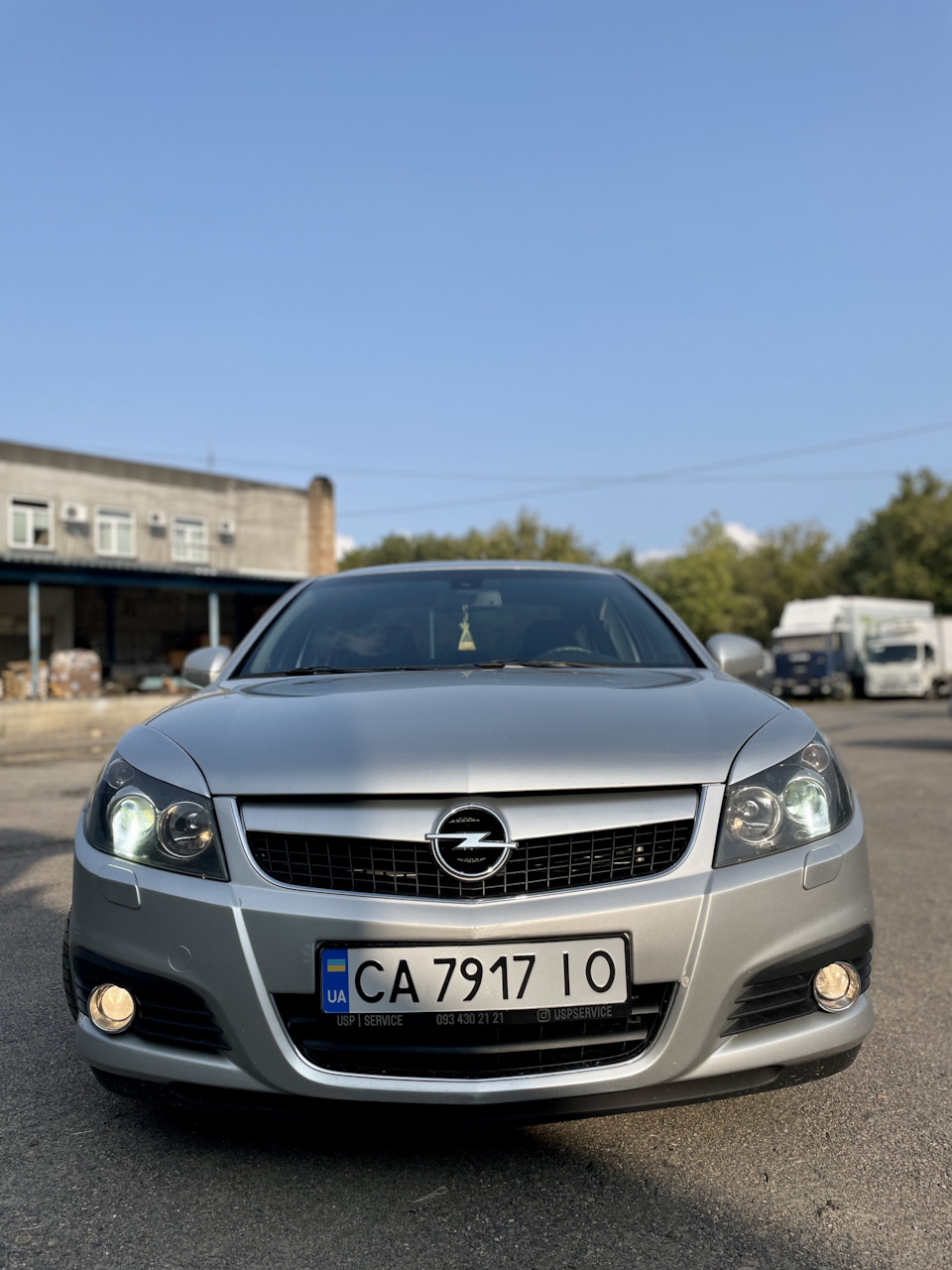 Грати протитуманок з Opel Signum) 5