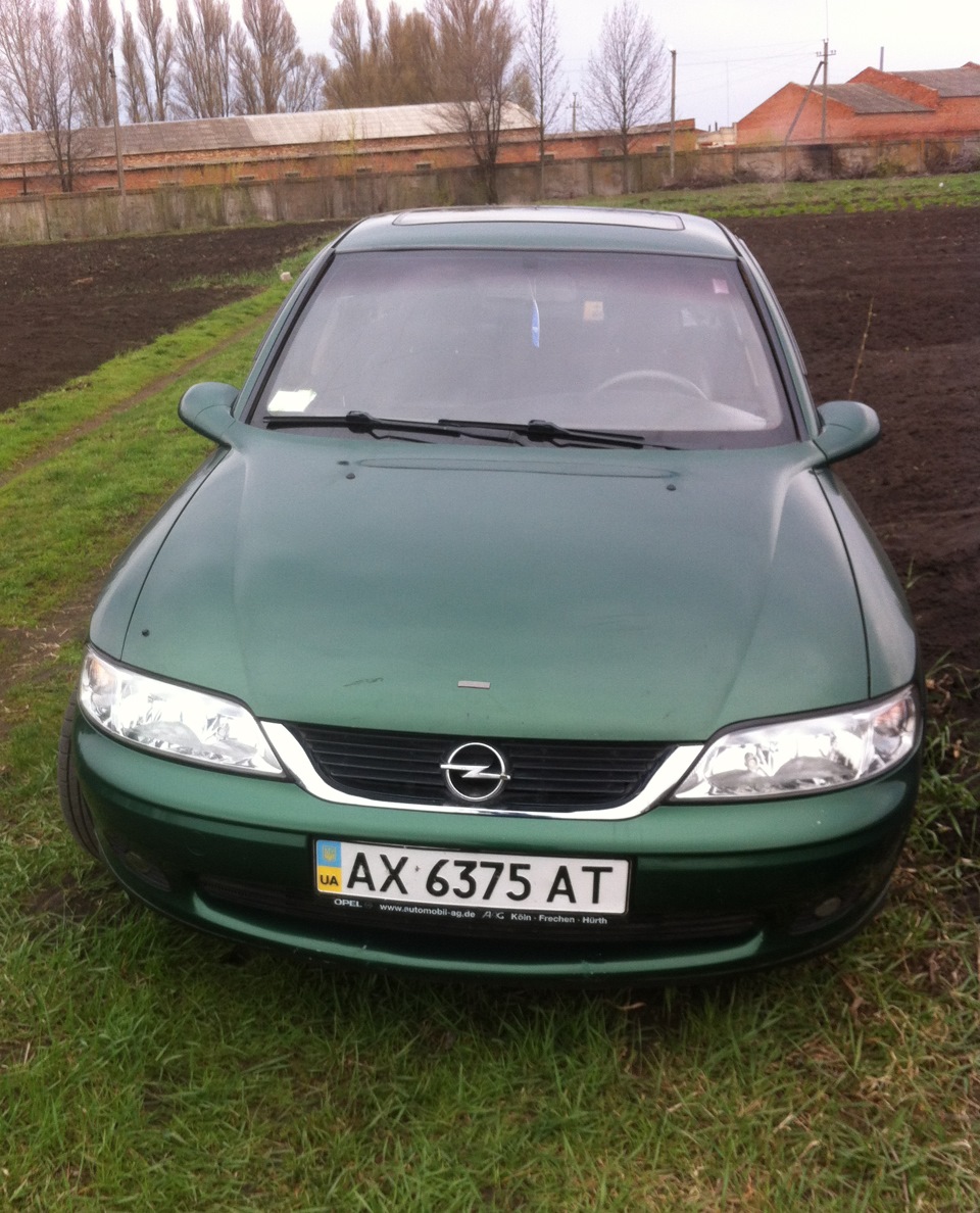 NEW)))) 1