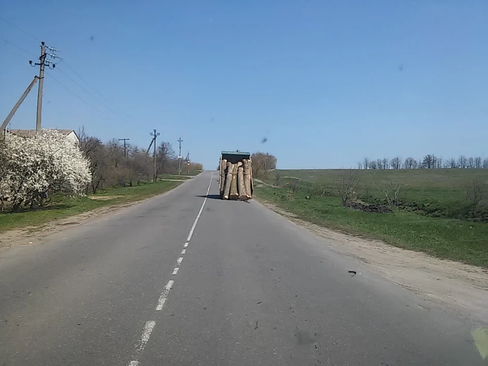 ось таке сьогодні зустрів на дорозі