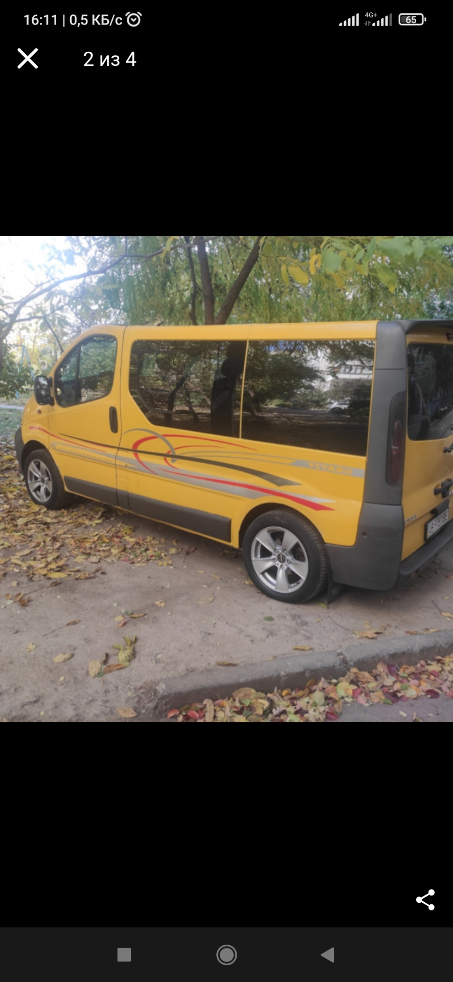 Тонування 1