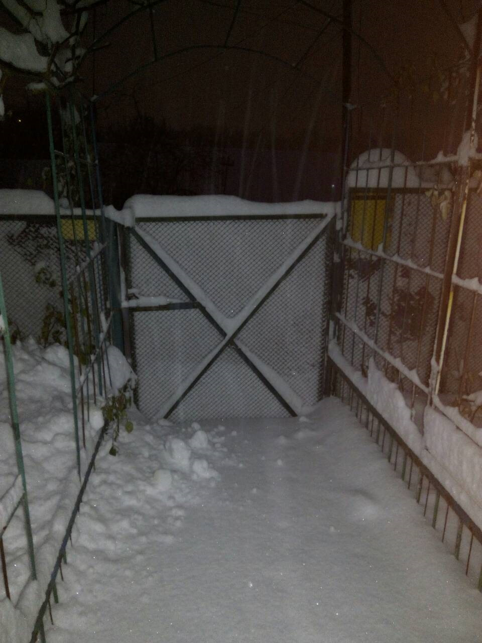 40 см. снігу 5