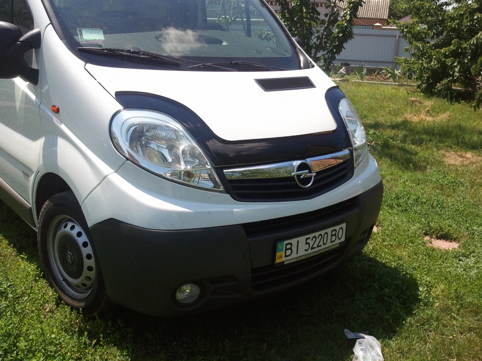 Мухобійка прийшла) 2