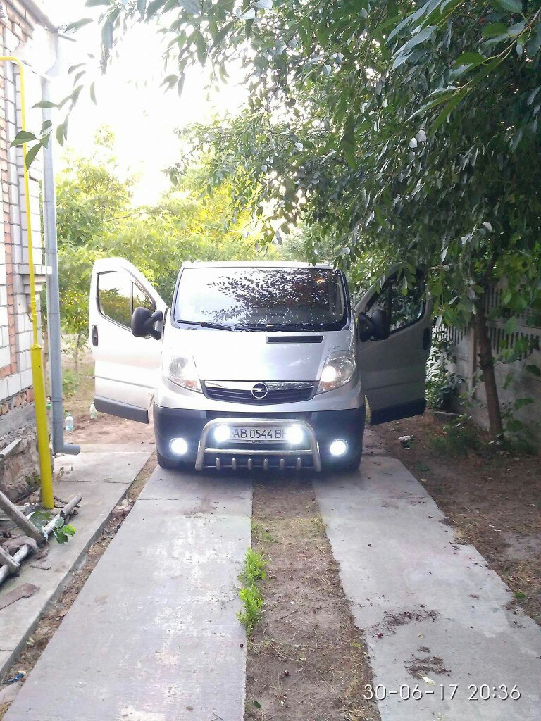 Кенгурятник 1