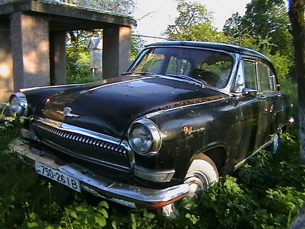 мої білі 2