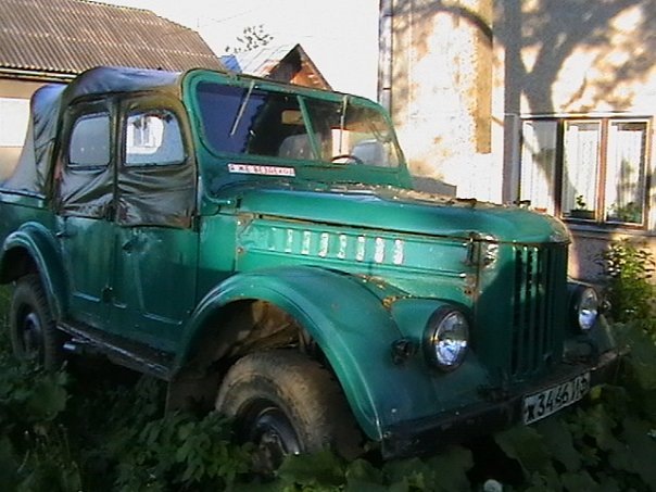 мої білі 1