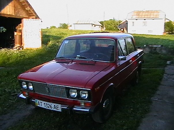 мої білі 5