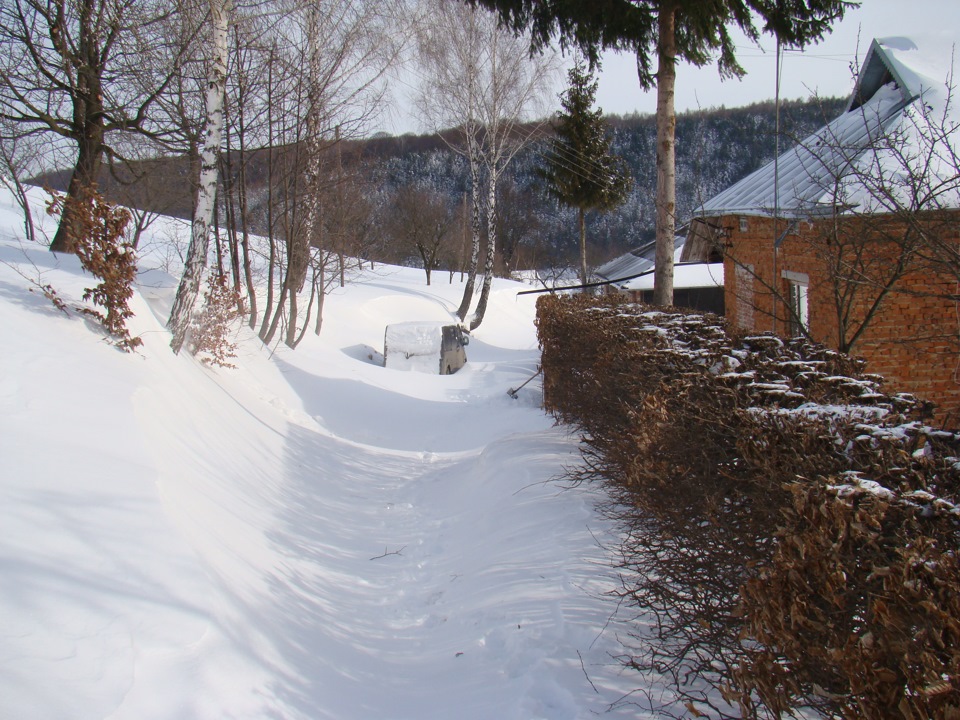 Оце замело 3