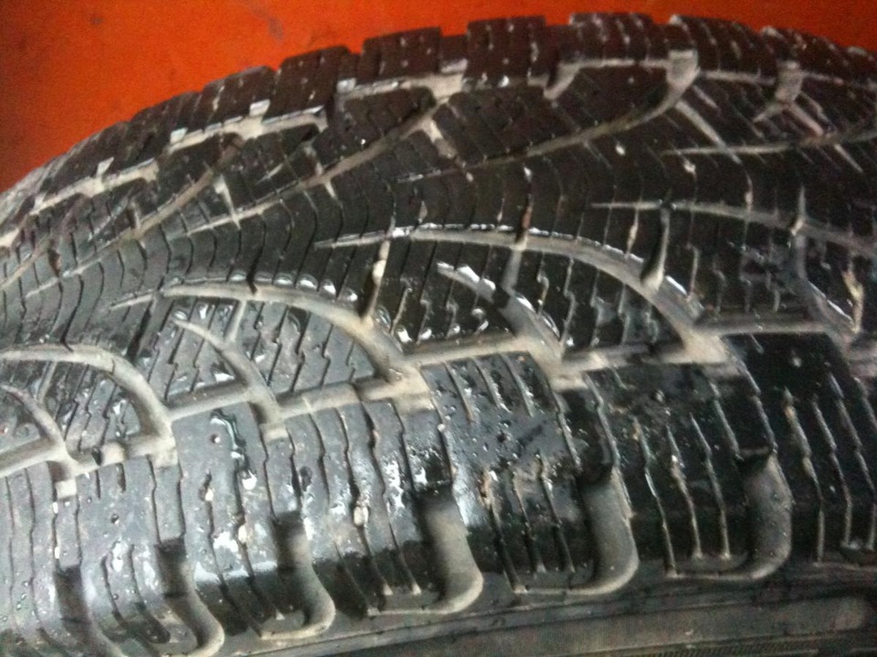 Продам зимову гуму Pirelli Chrono Winter 205/65 R16C 1