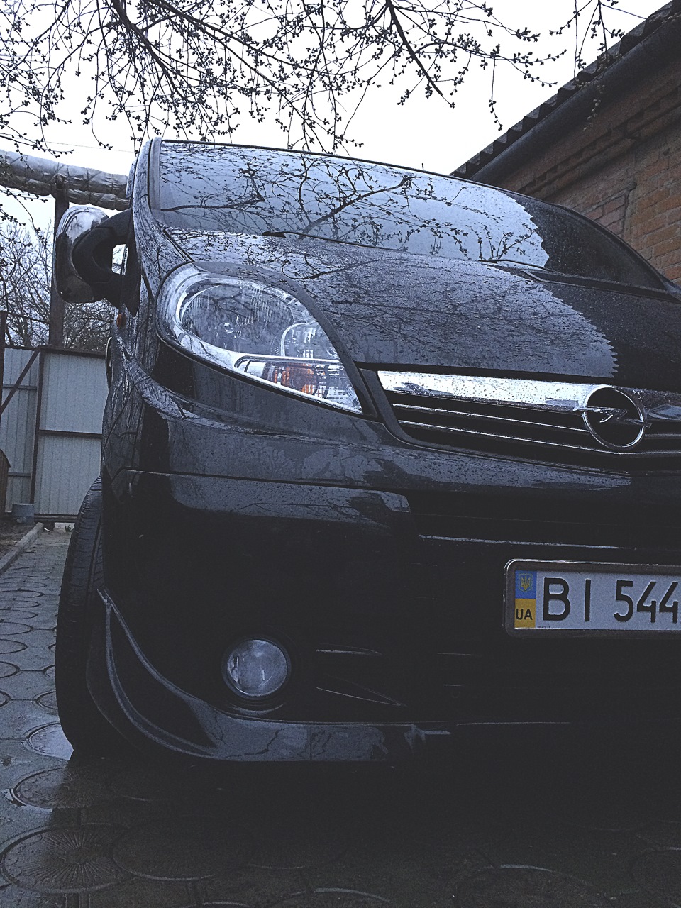 пару фоток Віварчика 2
