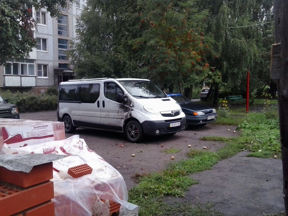 103 далматинець або влип очкарик 4