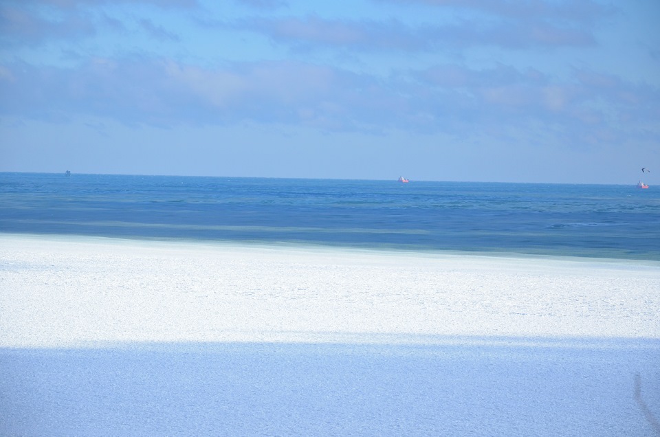 1.02.2014 Море в Одесі. 5